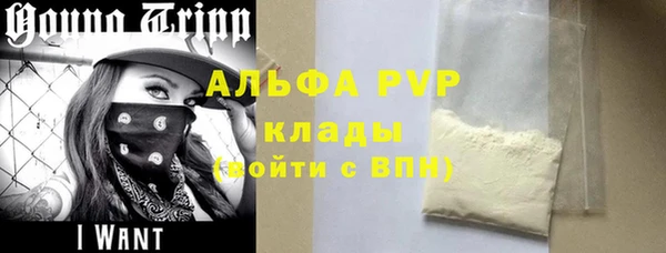 PSILOCYBIN Няндома