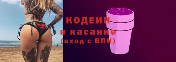 индика Нязепетровск