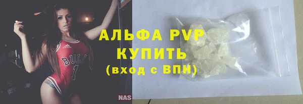 индика Нязепетровск