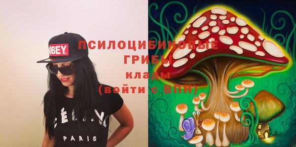 кристаллы Осинники