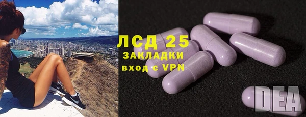 индика Нязепетровск