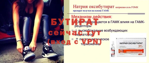 индика Нязепетровск