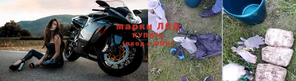 мяу мяу мука Осташков