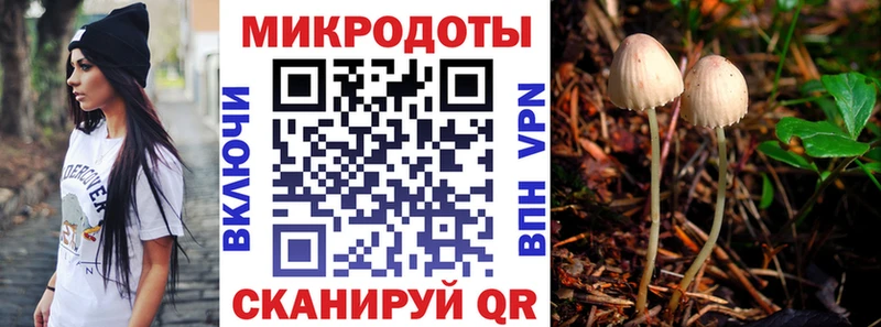 hydra ССЫЛКА  цены наркотик  Лукоянов  Галлюциногенные грибы Psilocybe 